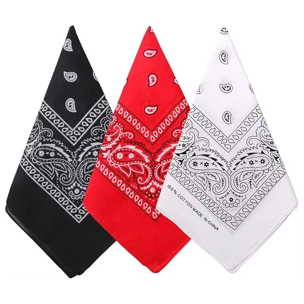 Hip Hop Cowboy Paisley Scarf L – Bandana Blank White Bewertung und Preis
