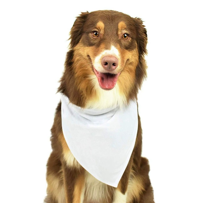 30pcs White Polyester Blank Do – Bandana Blank White Bewertung und Preis