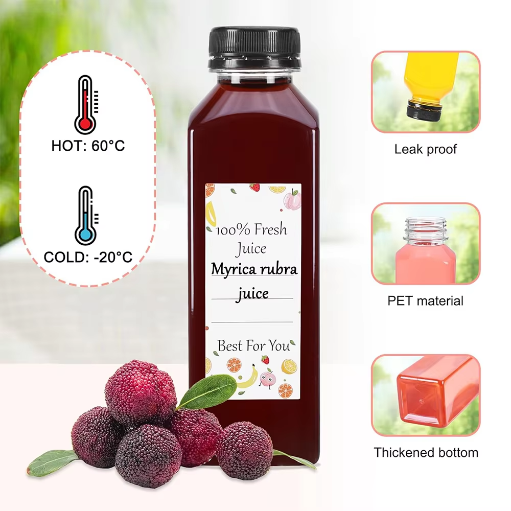 500ML Juice Bottles with Caps  – Water Bottle Blank Bewertung und Preis
